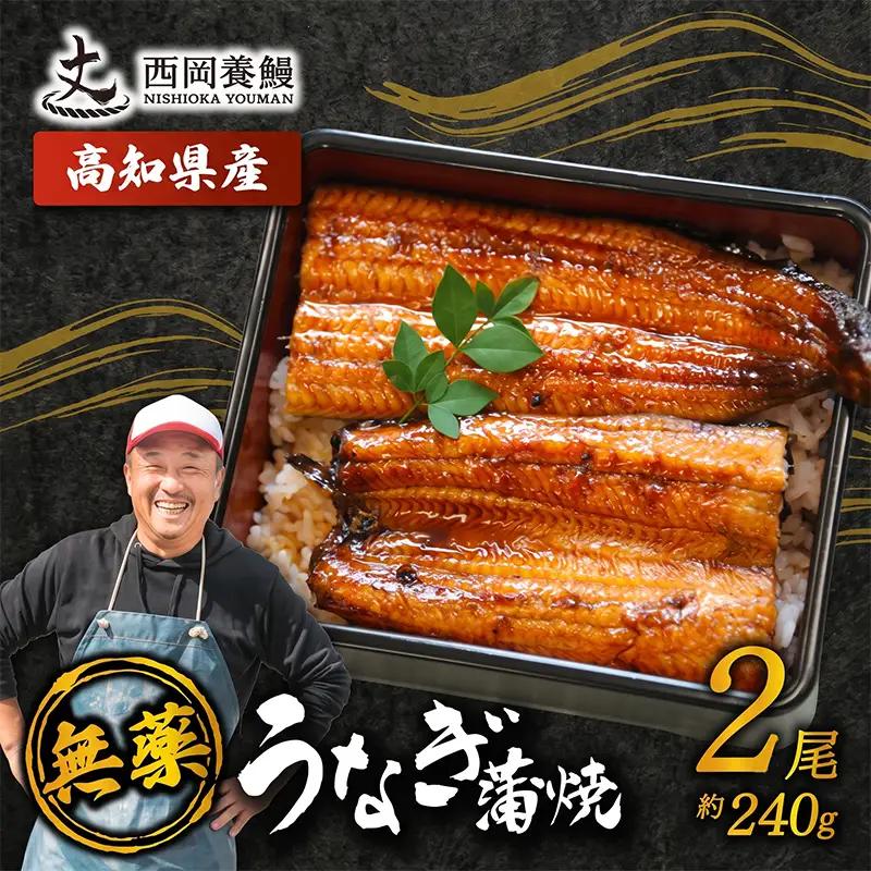 【 うなぎの蒲焼き 】国産 うなぎ蒲焼 240g ( 120g × 2尾 ) 