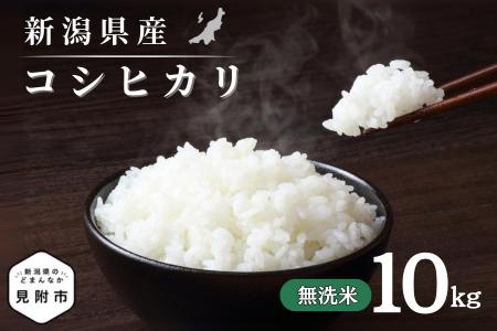 令和7年産 新潟県産 コシヒカリ 10kg 無洗米 新米 お米 白米 コシヒカリ こしひかり おすすめ 人気 こめ コメ 新潟 見附 見附市 7年 2025年産 ふるさと納税 諸長