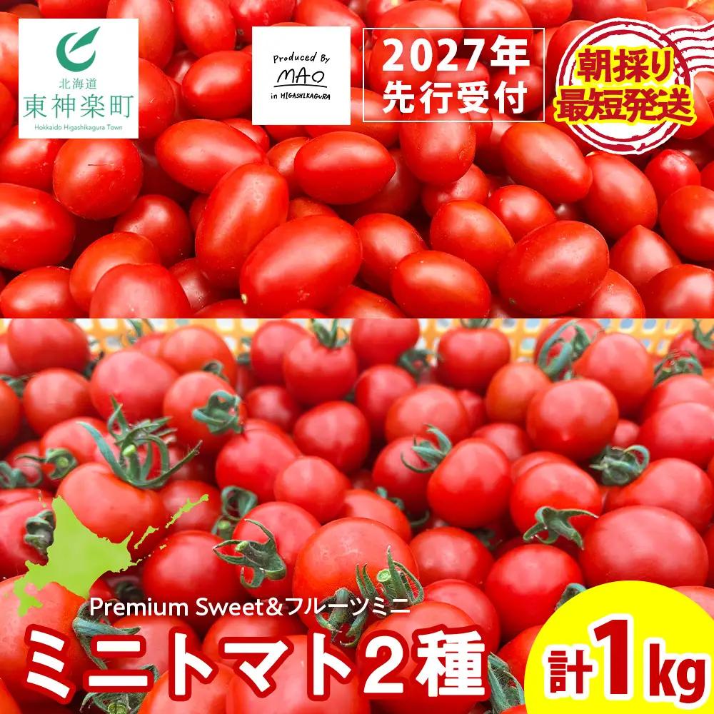 【2027年先行予約】朝採りPremium Sweet ＆フルーツミニ ミニトマト 1kg