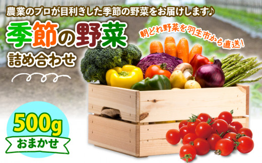 季節 野菜 詰め合わせ 500g 果物 産地直送 朝どれ フルーツトマト ほうれんそう 白菜 キャベツ ブロッコリー そら豆 ヤングコーン とうもろこし 枝豆 ピーマン 唐辛子 パプリカ 水 ナス オクラ キュウリ カリフローレ とれたて  濃厚 ごほうびとまと 株式会社風の子ファーム 埼玉県 羽生市