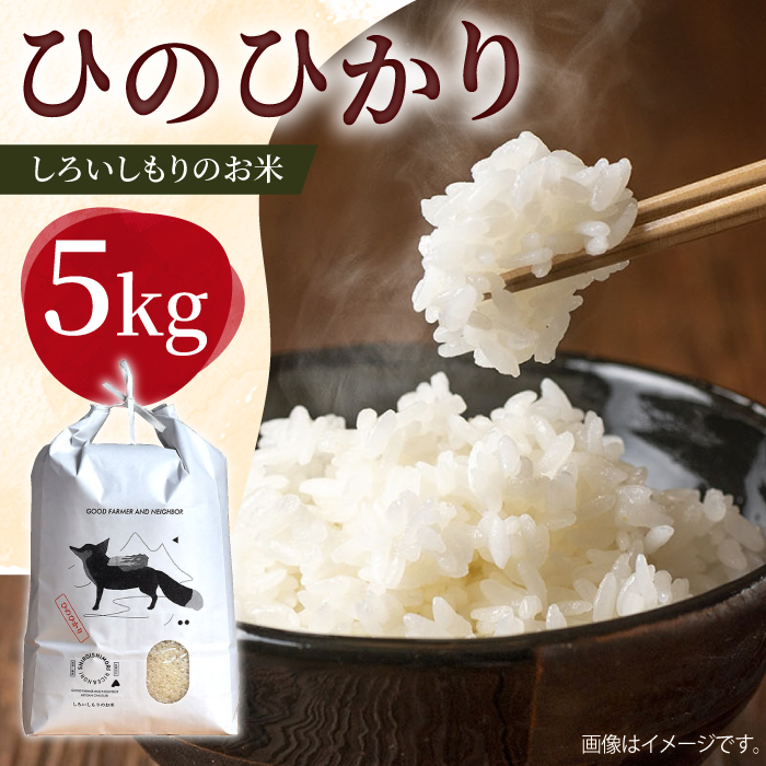 【令和7年10月以降発送】【R7年度産】しろいしもりのお米 ひのひかり 5kg【Sunrise328】 [ICD011]