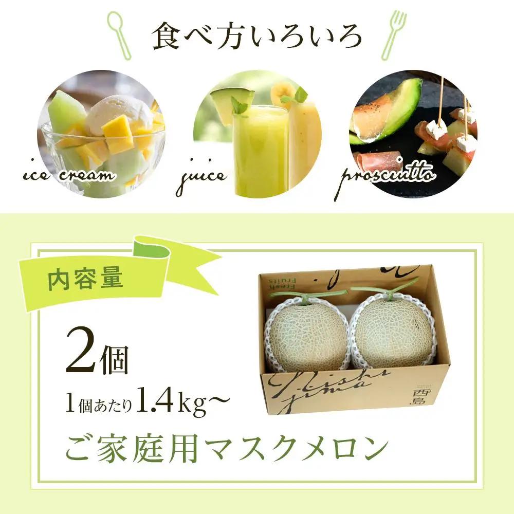 【3回定期便】マスクメロン（家庭用） 2玉入 青肉品種 高級メロン！ ／ マスクメロン 果物 フルーツ ギフト 農家直送 NE1300