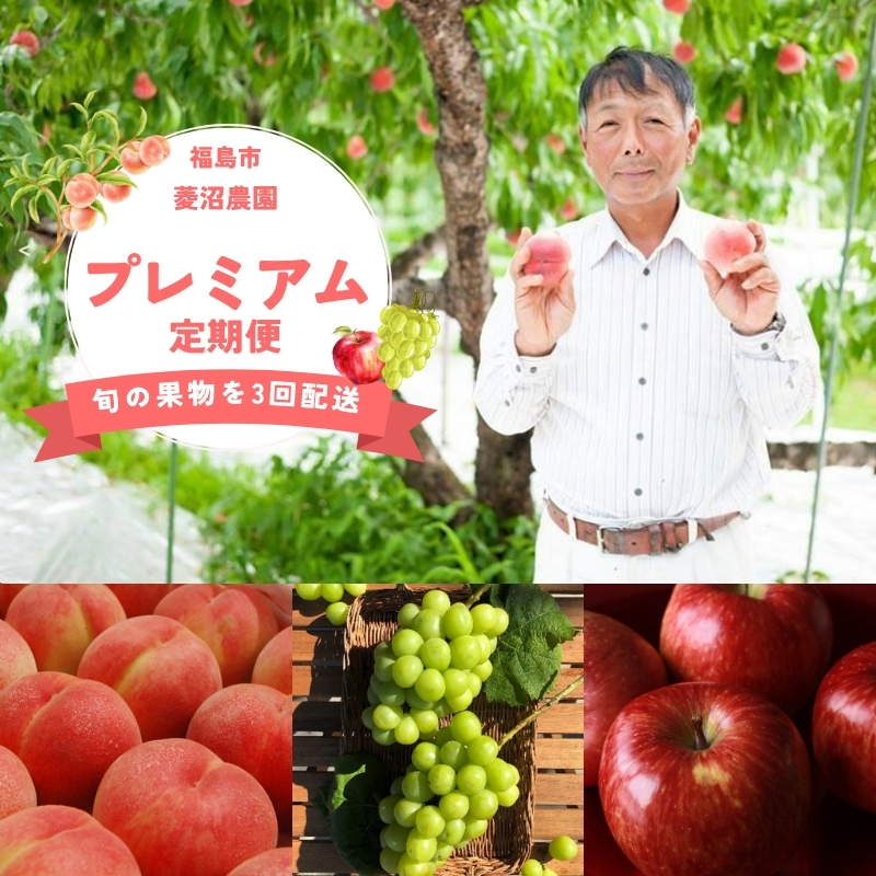 No.3005 フルーツプレミアム定期便【2026年発送 先行予約】