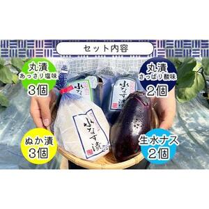 水なす４種１０個セット