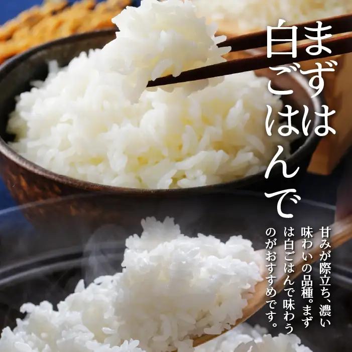 【令和7年産米】（無洗米600g）ホクレンゆめぴりか SBTD152