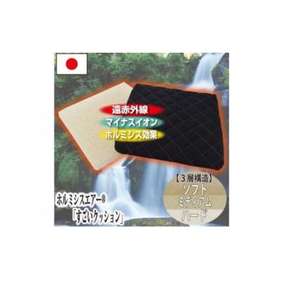 ふるさと納税 玖珠町 ホルミシスエアー すごいクッション |  | 01