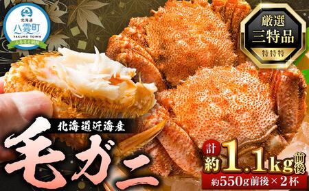 先行予約【厳選三特品】北海道産近海毛ガニ550g前後×2尾2025年9月上旬発送開始予定 | 毛ガニ