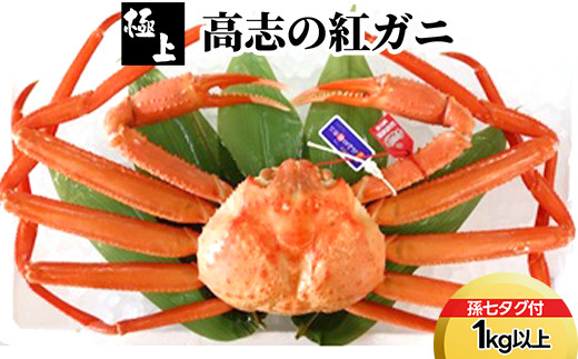 
                  【極上】高志の紅ガニ1kg以上（孫七タグ付）ずわい蟹 ずわいガニ ズワイガニ 紅ズワイガニ 紅ずわいがに カニ 蟹 かに かにしゃぶ カニしゃぶ 蟹しゃぶ かに鍋 カニ鍋 蟹鍋 かに味噌 カニ味噌 かにみそ 魚貝類 魚介類 ボイル 国産 富山 富山湾 北陸 富山カニ 北陸カニ 富山かに 北陸かに 富山蟹 北陸蟹 ※2026年9月～発送
                