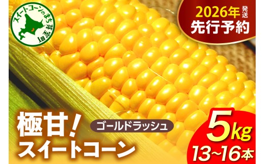 【先行受付】【2026年8月上旬〜8月中旬頃発送】北海道十勝芽室町 ファームミリオンの極甘スイートコーン 5kg me016-011c-26