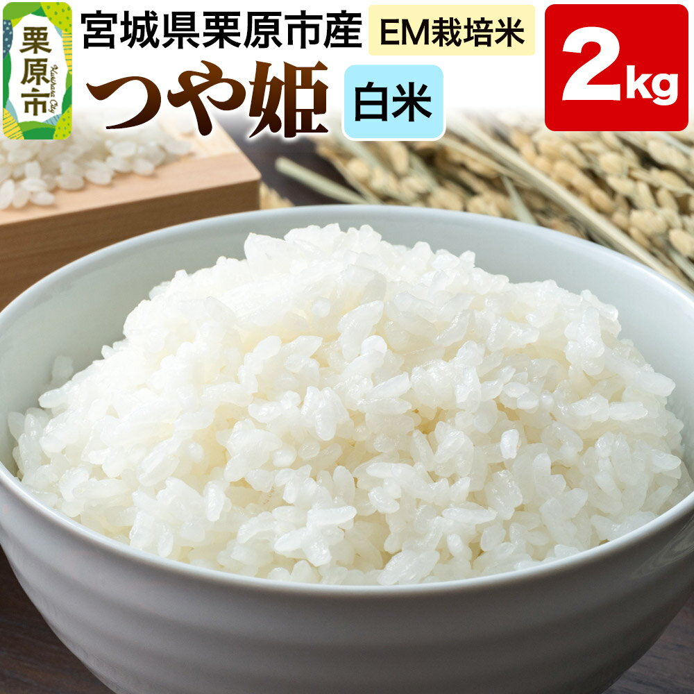 【ふるさと納税】【EM栽培米・白米】宮城県栗原市産 つや姫 2kg
