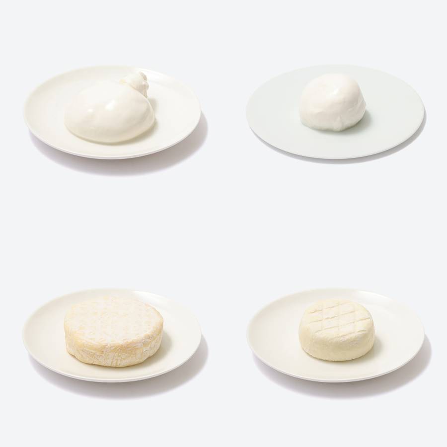 ＜Lactoserum＞「フレッシュ＆熟成チーズ」4種（モッツアレラ・ブッラータ・つやこフロマージュ・ツツー）計480g【12ヵ月定期便】