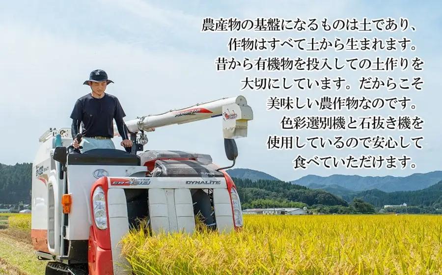【令和8年産】特別栽培米 つや姫 玄米 5kg (5kg×1袋) 山形県庄内産 小池半左衛門  
