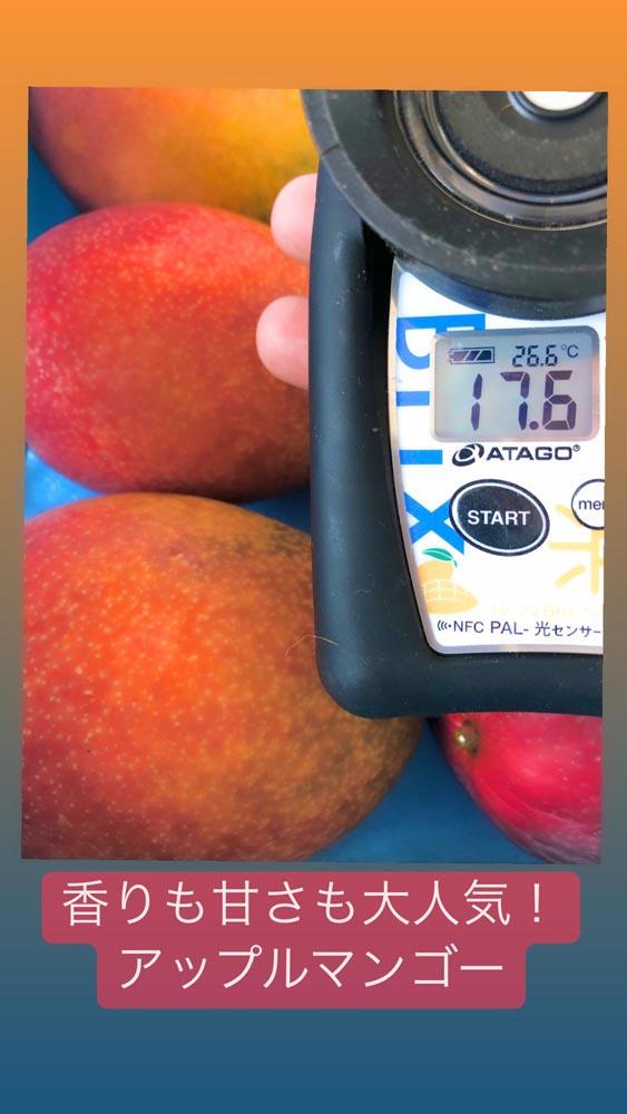 ★2024年発送分★紀州完熟マンゴー『吉玉』【ご家庭用訳ありマンゴー1.5kg】