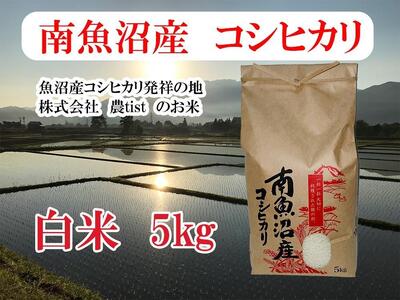 【令和7年産】【南魚沼産】コシヒカリ 白米5kg【2025年9月中旬より順次発送予定】