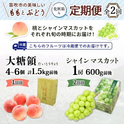 ふるさと納税 笛吹市 【発送月固定定期便】笛吹市の桃とぶどう 大糖領 1.5kg&シャインマスカット 1房 600g全2回 |  | 03