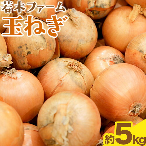【ふるさと納税】 玉ねぎ たまねぎ 玉葱 約5kg サイズ混合《9月中旬から3月末頃より順次出荷》若木ファーム 送料無料 北海道 本別町 北海道 十勝 本別町産 オニオン シチュー ポトフ スープ 炒め物 野菜