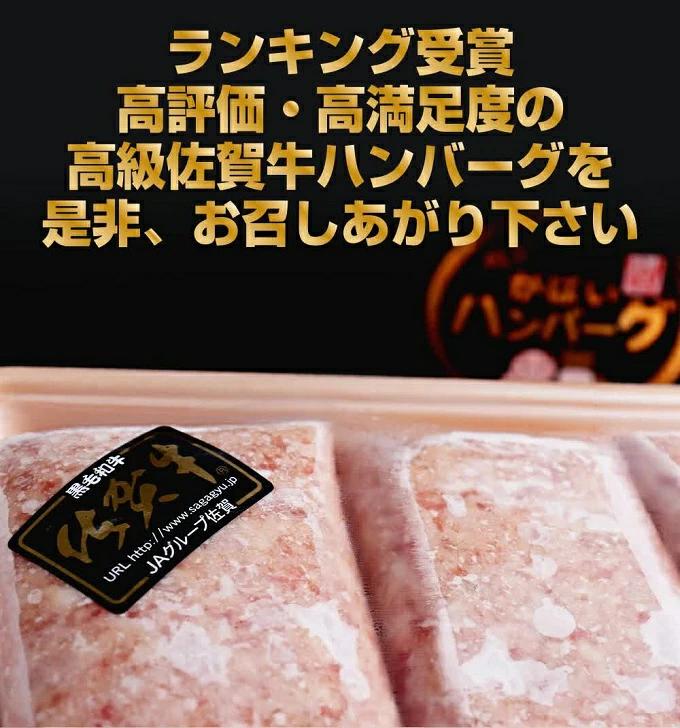 【定期便12回】佐賀牛入りハンバーグ 10個：C178-003_イメージ3