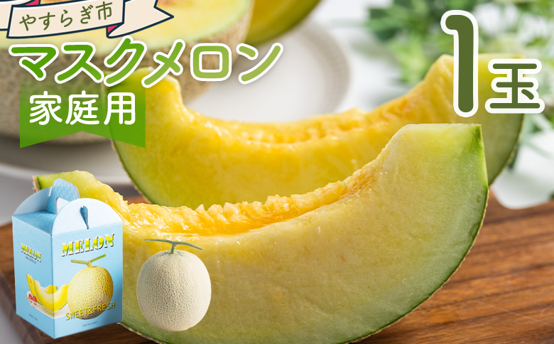 マスクメロン 1玉 家庭用 - 国産 メロン 果物 フルーツ 青果 濃厚 デザート 訳あり 訳アリ ご家庭用 不揃い 傷 やすらぎ市 高知県 香南市 常温 yr-0088
