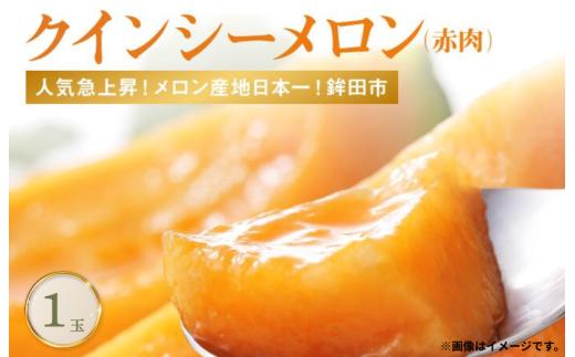 赤肉が美味しい！クインシーメロン4L(1個入）