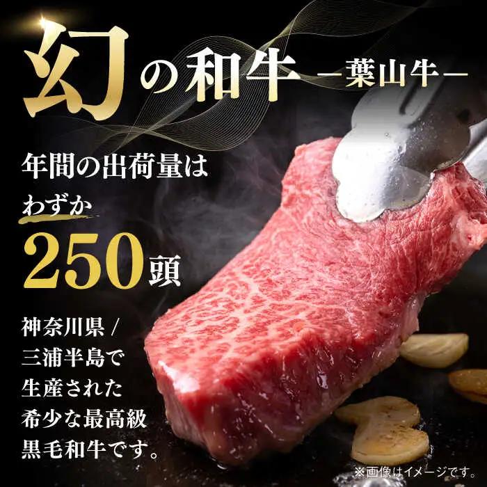葉山牛 800g　ロース焼肉用 ／ 焼肉 焼き肉[ASBD007]