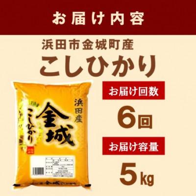 ふるさと納税 浜田市 【毎月定期便】浜田市金城町産こしひかり　5kg全6回 |  | 02