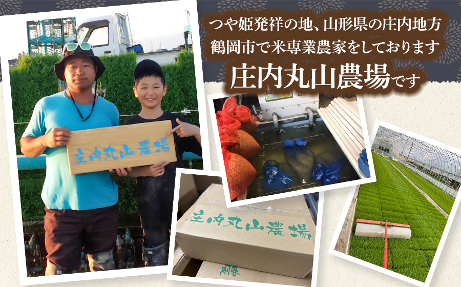 【令和7年産】雪若丸 精米 5kg　山形県鶴岡市　庄内丸山農場　| ゆきわかまる ゆきわか 5キロ 米どころ 庄内米 ブランド米 米 コメ こめ 精米 ご飯 ごはん 美味しい お取り寄せ 農家直送 お