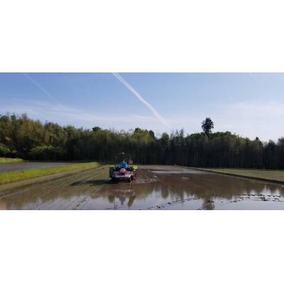 ふるさと納税 佐渡市 【毎月定期便】《無洗米》米・食味分析鑑定コンクール金賞 佐渡産コシヒカリ 20kg全6回 |  | 03