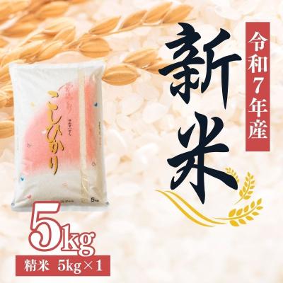ふるさと納税 福島市 大文字屋米穀店【令和7年産新米 先行受付】コシヒカリ精米 5kgNo.2382