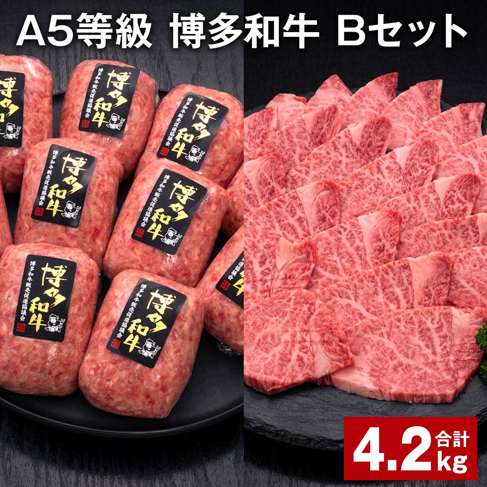 【ふるさと納税】A5等級 博多和牛 Bセット 計4.2kg 博多和牛100%贅沢本格手ごねハンバーグ 【訳あり】博多和牛ヒレ焼肉 牛肉 お肉 和牛 冷凍 福岡県産 国産 九州 福岡県 糸田町 送料無料