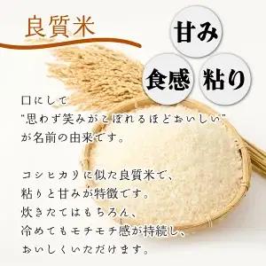 令和8年産 串間産のお米「 夏の笑み 」（10kg）_K025-002-R8