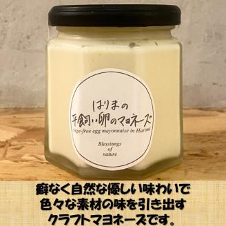 【旬の自然栽培の野菜のみ使用】はりまの自然派ピクルス・ドレッシング・クラフトマヨネーズ ギフトボックス5本セット【2401I10602】