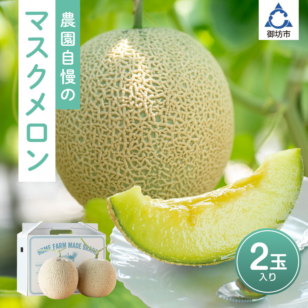 【ふるさと納税】農園自慢の『マスクメロン』(アールスメロン)×2玉入り《先行予約》2025年6月下旬から順次発送【配送不可地域：北海道・青森・秋田・岩手・沖縄・離島】ふるさと納税 メロン ふるさと納税 マスクメロン フルーツ くだもの 果物 2玉 送料無料