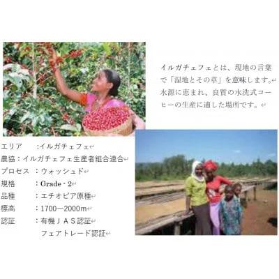 ＜のし付き＞つくばで焙煎 コーヒー豆 エチオピア イルガチェフェ 200g×2種 飲み比べ 缶入り【 コーヒー 豆 ブレンド オリジナル 直火式焙煎 自家焙煎 中煎り 中深煎り 有機栽培 フェアトレー
