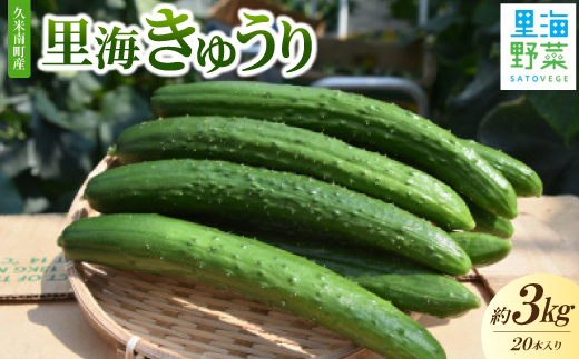 
                  久米南町産　里海きゅうり 20本入(約3kg)【1727201】
                
