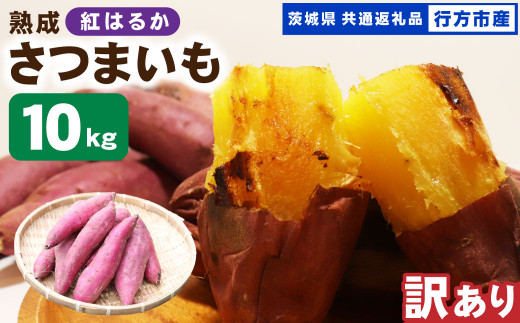 【 訳あり 】“熟成” 茨城県産 さつまいも 【 紅はるか 】 約10kg （茨城県共通返礼品・行方市産） 芋 いも サツマイモ 野菜 やさい 国産