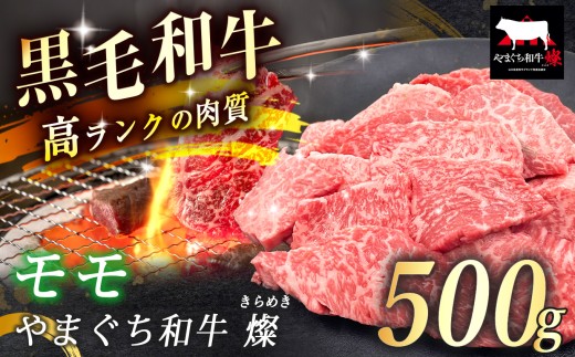 数量限定！選べる 極上牛肉 やまぐち和牛 燦 ( きらめき ) モモ 500g ｜ 山口 県 美祢市 牛肉 ブランド牛 黒毛和牛 カルビ 上カルビ モモ 牛 肉 お肉 にく