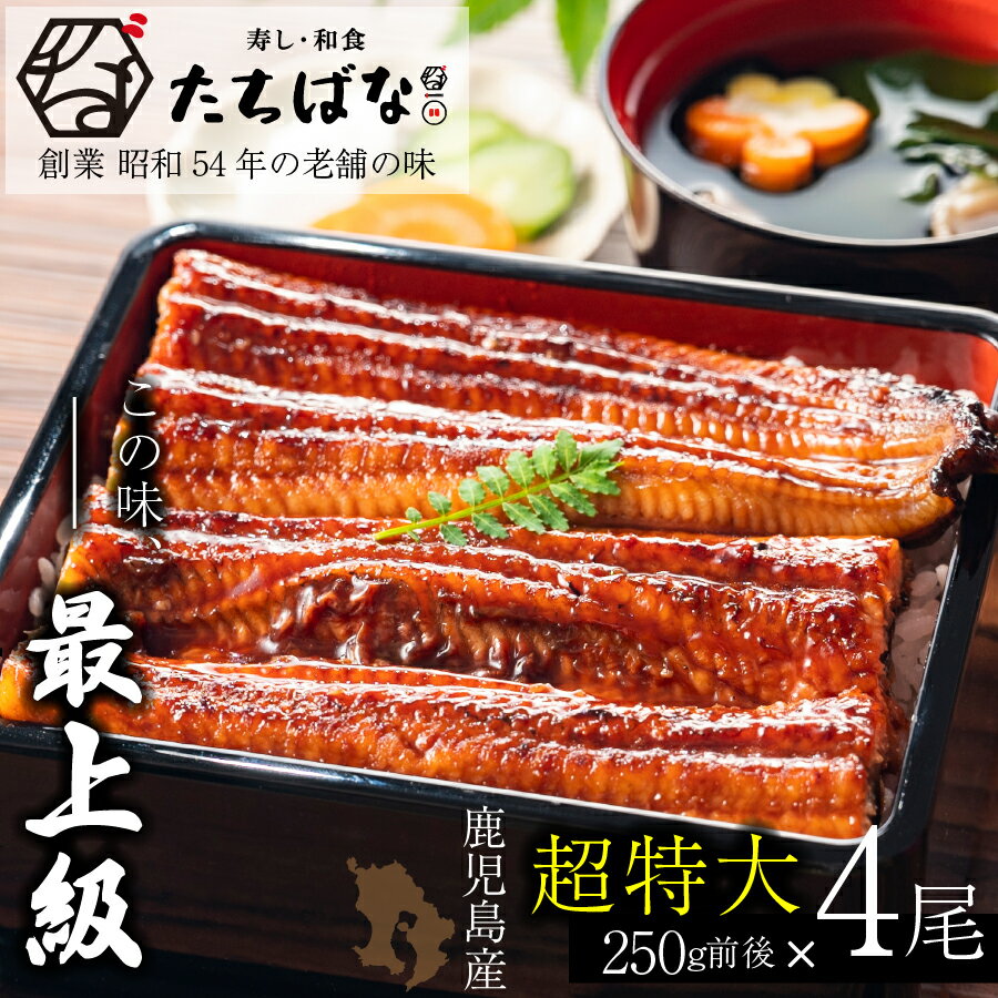 【ふるさと納税】老舗たちばな　鰻蒲焼（250g前後）×4尾 うなぎ 尾頭付 タレ付 鹿児島県産 ウナギ 送料無料 U02-21