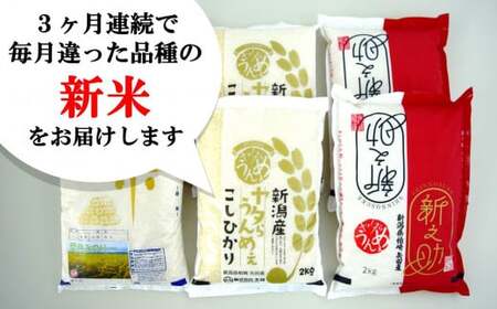 【先行予約・令和8年産新米定期便・8月下旬～発送】新潟米 3種食べ比べ 無洗米 4kg×3回（計 12kg）葉月みのり・コシヒカリ・新之助 水田環境鑑定士在籍[Y0197]