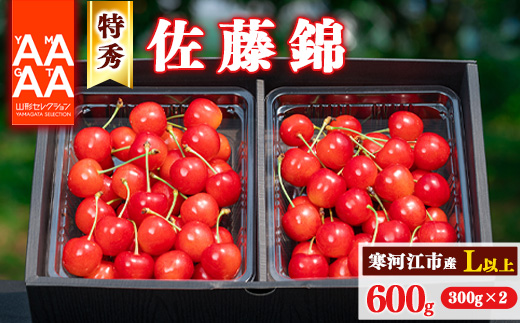 令和7年産 特秀品 さくらんぼ「 佐藤錦 」600g (300g×2パック) Lサイズ以上 2025年産 山形県産 山形産 【2025年6月上旬頃～下旬頃発送予定】　026-A-AF002