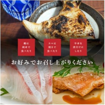 ふるさと納税 南伊勢町 訳あり 伊勢志摩産 海鮮 お宝ボックス 約1.2kg おまかせセット 特産のお魚を城水産が全国へ |  | 03