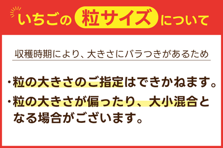 鈴木農園のいちご とちあいか 約300g以上×2パック｜栃木県 益子町 ふるさと納税 大きい いちご イチゴ 苺 果物 フルーツ とちあいか 人気 600g以上 3Lサイズ (DJ002)
