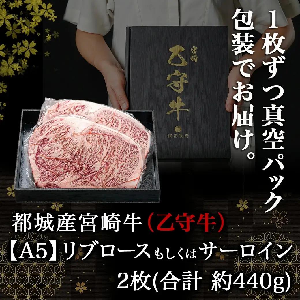 数量限定！【宮崎牛A5】ロースステーキ 計約440g(2枚) (乙守牛)〔26-6501〕_(都城市) 都城産宮崎牛 乙守牛 A5 リブロースもしくはサーロイン 2枚 約440g 真空パック ギフト 