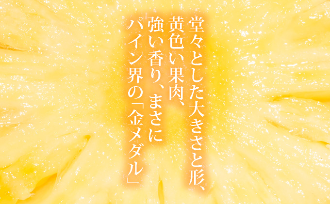 【先行予約】《2025年夏季 順次発送》黄金パイン大玉3個入 計4.5kg　SI-52