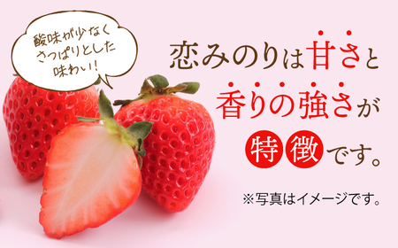 【2026年発送分 先行予約】【全4回定期便】交互にお届け！恋みのり・さがほのか  220g×2パック×4回 / いちご / 佐賀県 / 鐘ヶ江農園 [41ASBK002]