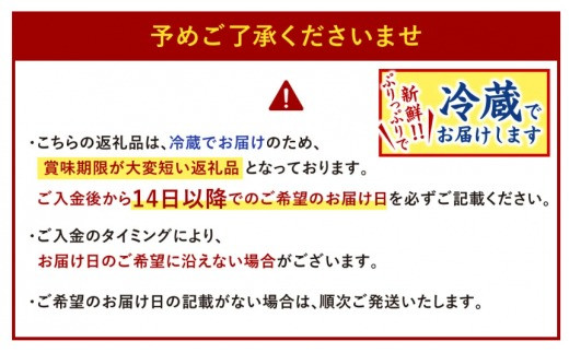 【配達日時指定可】本場関門とらふぐ刺身セット(2～3人前)ふく一