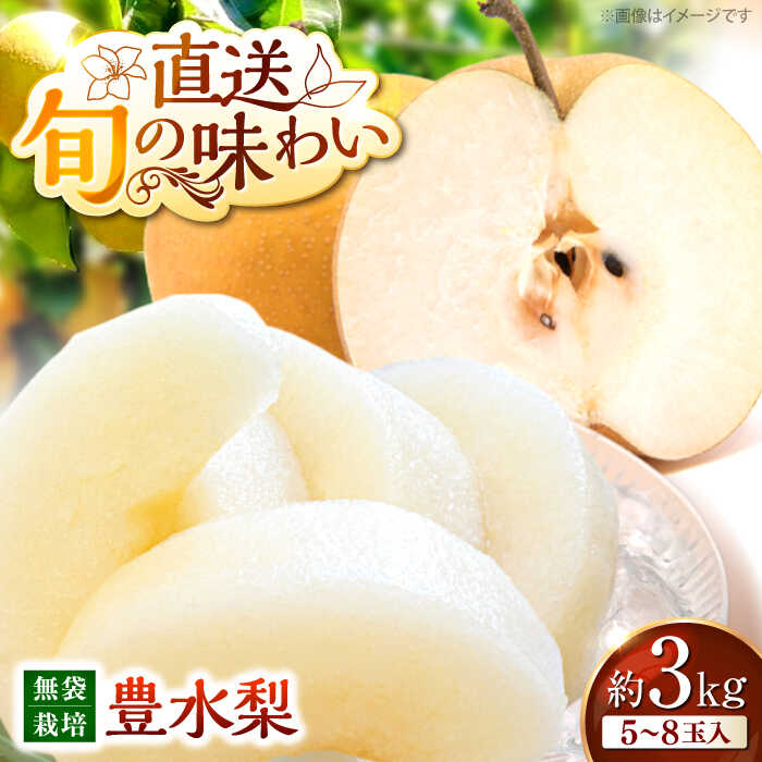 【ふるさと納税】梨 豊水【先行予約】＜9月中旬から順次発送＞ 高丸の梨 「豊水」 3kg（5から8玉入） | 豊水 梨 なし フルーツ 果物 梨 ナシ 甘い デザート ランキング 梨 豊水 3kg おいしい おすすめ 人気 詰め合わせ セット ギフト 三次市/高丸農園[APBU001]