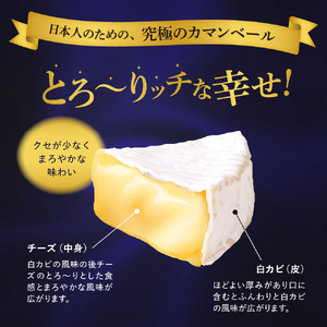 【6ヵ月定期便】明治北海道十勝チーズ カマンベール4種5個セット 計6回 me003-068-t6c