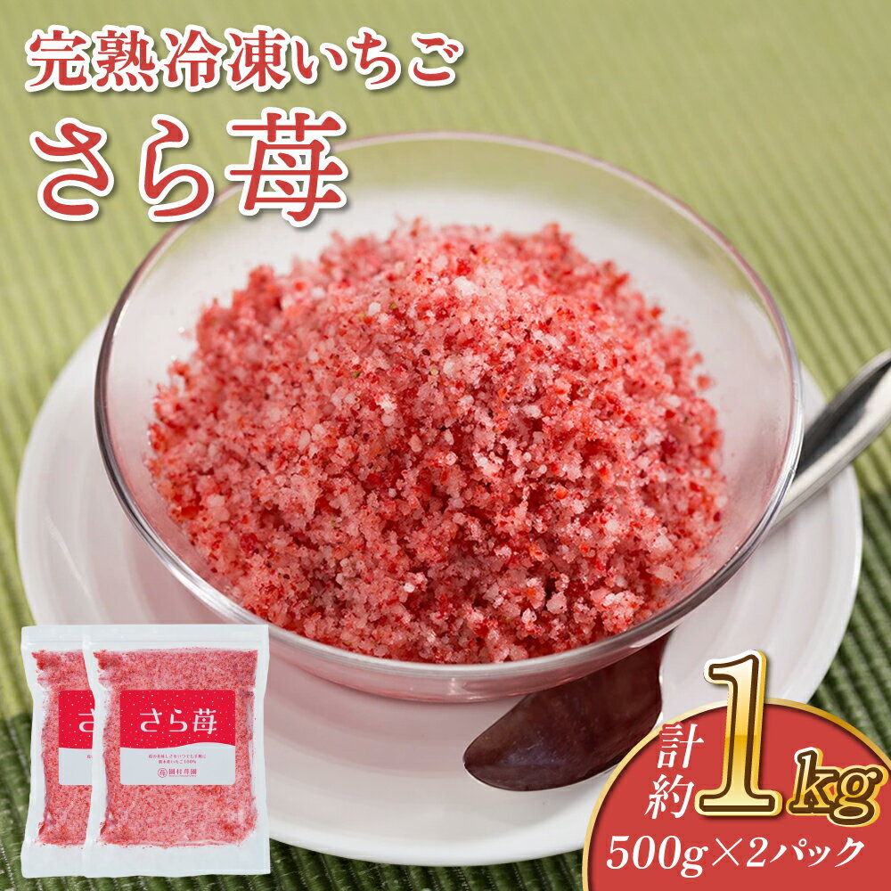 【ふるさと納税】完熟 冷凍 いちご さら苺 500g×2パック 合計1kg 園村苺園 イチゴ 苺 さちのか フルーツ 果物 デザート パック 急速冷凍 贈答品 贈り物 のし対応 国産 九州産 熊本県産 宇城市産 送料無料