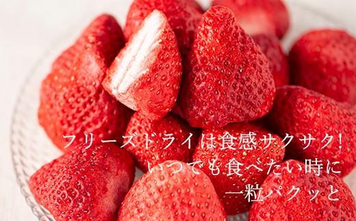 常温で手持ちできるギフト （フリーズドライ×2&ジャム×1セット）