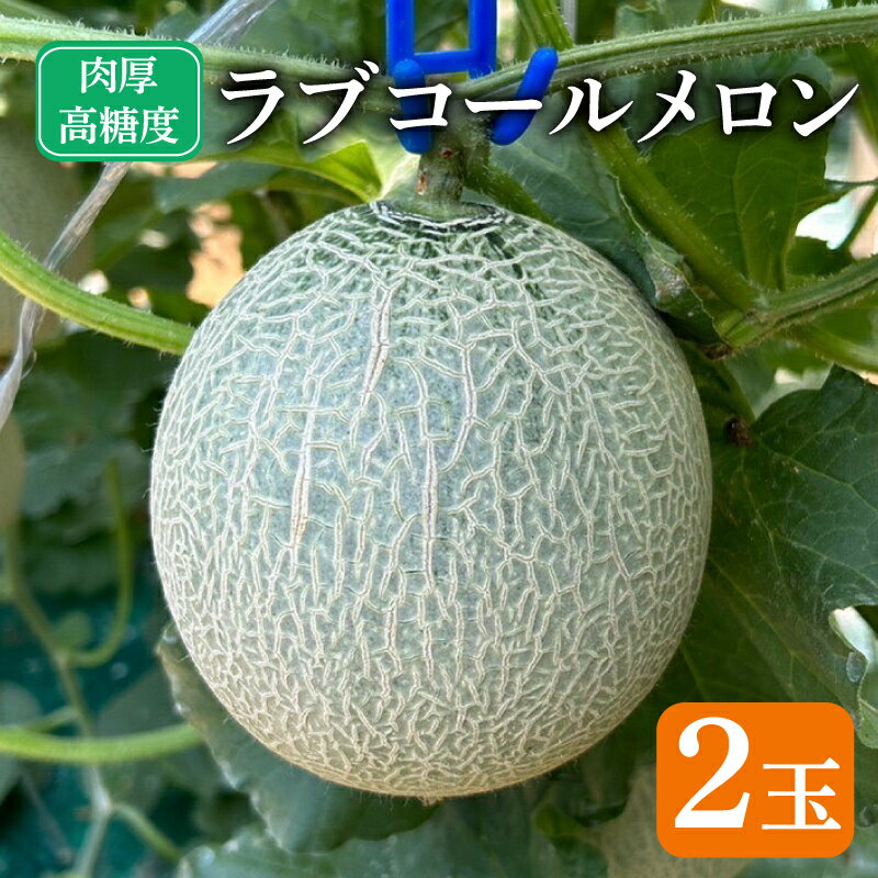 【ふるさと納税】 先行予約 ラブコールメロン 2玉 メロン 果物 フルーツ 糖度 甘い 贈答 プレゼント ギフト ゼリー ジュース ケーキ 送料無料 千葉県 銚子市 はぎわらファーム 発送時期 2025年7月〜(なくなり次第終了)